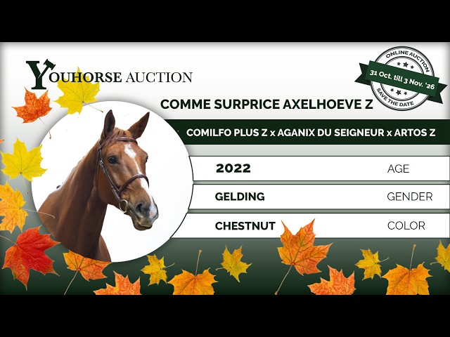Comme Surprice Axelhoeve Z