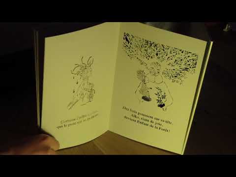 Lectures en partage (catégorie Albums) : L'esprit de la forêt