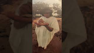 Ballad of Geraldine - Donovan (mini cover) #donovan #donovanleitch #folk #folkmusic #60s #sixties