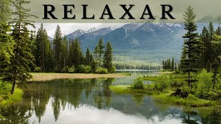 RELAXAR - Paisagem Linda, Som De Riacho e Pssaros