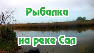 Ловля рыбы на реке сал ростовская область