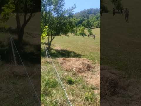 UNSKI BISERI(JOVINA ĆOPIĆ)-JA SA PRELA