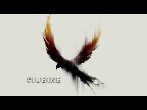 Burcea x GATO - #IUBIRE