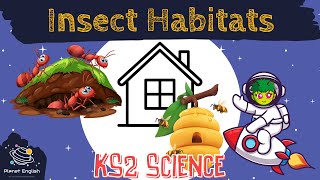 Insects and their Habitats | KS2 Science | STEM and Beyond