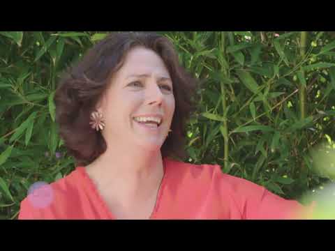 Time Out mit Ildikó von Kürthy