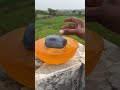 Ram Setu Stone Truth Shorts Outofmindexperiment