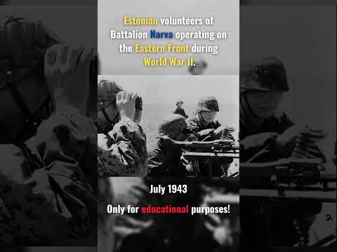 Estonian volunteers of Battalion Narva operating on the Eastern Front  #history #ww2 #estonian