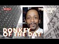 Katt Williams Donkey Of The Day