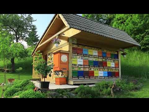 Boja meda ep. 139 03.11.2020. NAJAVA