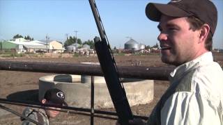 Soar No More: Dove Hunting Video Contest 2013