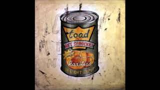 Are We Afraid Toad The Wet Sprocket