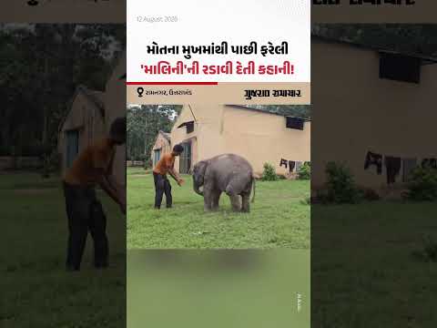 રામનગર, Uttarakhand: મોતના મુખમાંથી પાછી ફરેલી 'માલિની'ની રડાવી દેતી કહાની! રામનગર, Uttarakhand: મોતના મુખમાંથી પાછી ફરેલી 'માલિની'ની રડાવી દેતી કહાની!