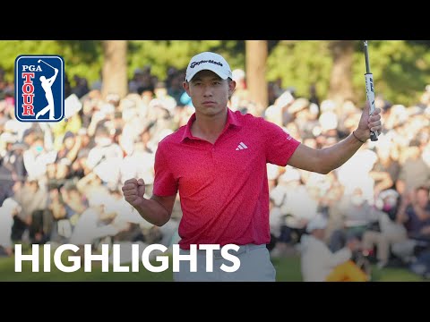 YouTube thumbnail for video