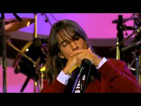 Red Hot Chili Peppers - I Get Around (Live at the Musicares tribute to Brian Wilson)