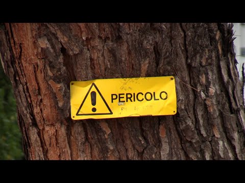 Roma, a Ferragosto si rinnova l'appuntamento al "palo della morte" nei 45 anni di 'Un sacco bello'