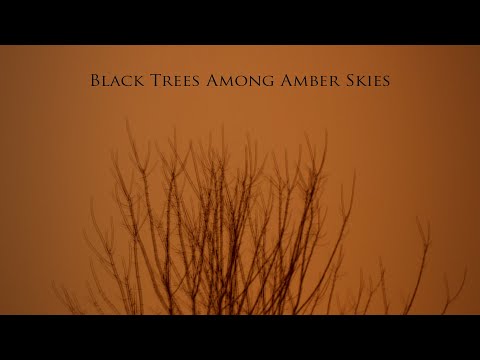 Altus - Black Trees Among Amber Skies (2010)