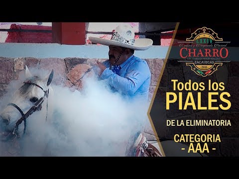 The PIALES AAA category eliminatory - Zacatecas Congress 2018