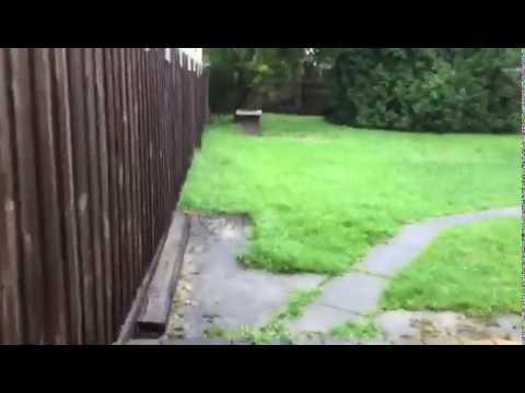 RENTAL WALK THROUGH - 16 Currawa Drive, Boronia