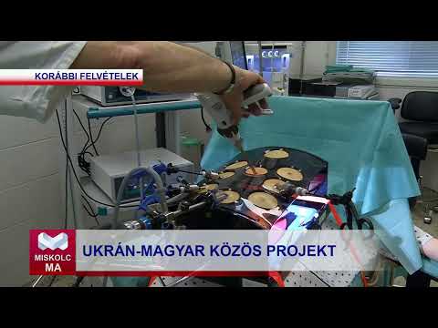 Videó előnézet