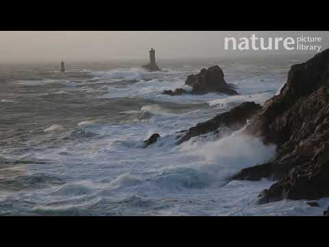 Winter storm at the Pointe du Raz in Finistere, with the Vieille Lighthouse, Brittany, France