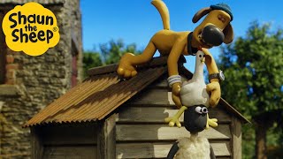Download lagu In The Dog House! 🐑 Shaun the Sheep 🐑  - Cartoons for Kids 🐑 Full Episodes Compilation [1 hour] mp3