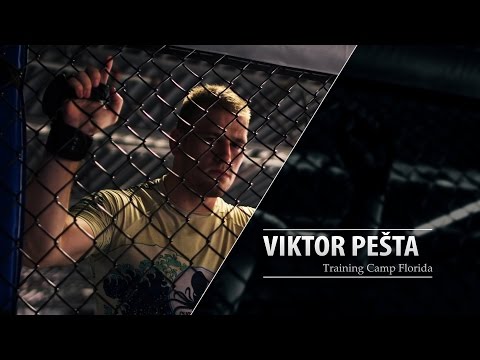 MMA Fight Announcements For November 4