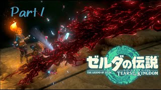 なんだか今作はやけに右手が疼くな…？-ゼルダの伝説 Tears of the Kingdom -part1-