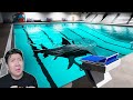 KETAKUTAN TERBESARKU HIU DI KOLAM RENANG JADI NYATA Sharks And Minnows