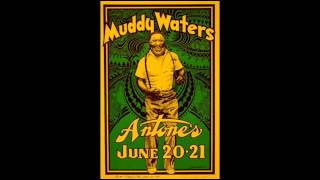 Muddy Waters - Still A Fool.