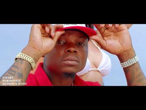 HARMONIZE - NITEKE EXTENDED