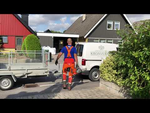 Birchfelling In Staffanstorp