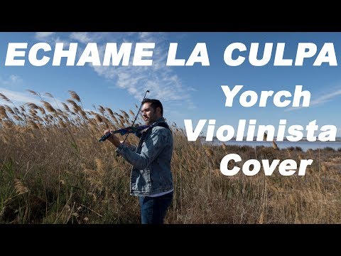 Echame la culpa (Violin cover by Yorch Violinista)