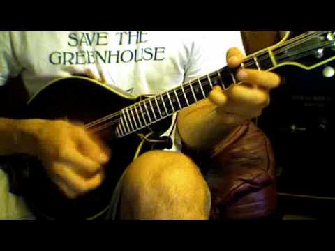 Polonaise from Sexdrega - Scandinavian Fiddle Tune
