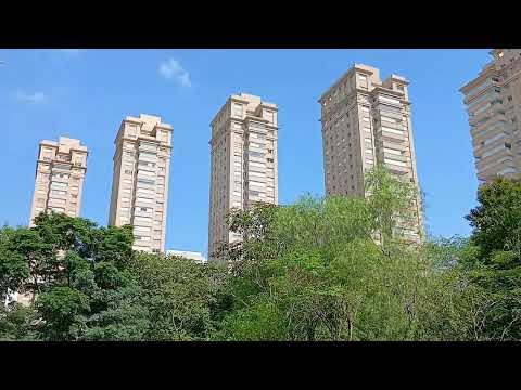 Parque VILLA-LOBOS o que fazer? É melhor que o Ibirapuera? [São Paulo Ep.1]