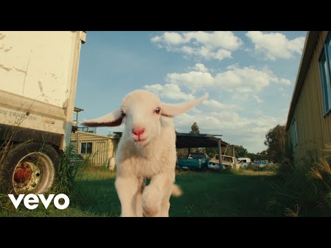 Mallrat - Horses (Official Video)