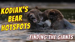Kodiak Bears: Top Photography Locations