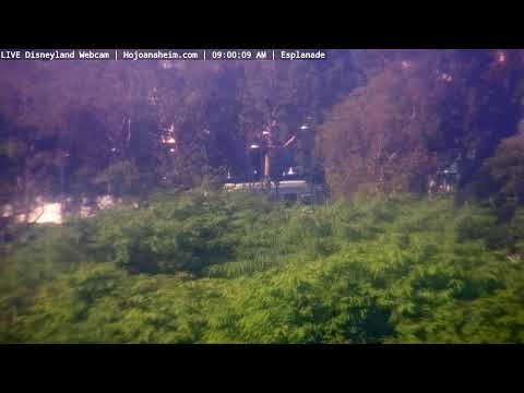 Live webcam of Disneyland Cam