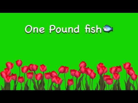 One Pound Fish