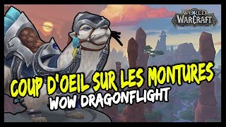 LES 45 NOUVELLES MONTURES DE WOW DRAGONFLIGHT !