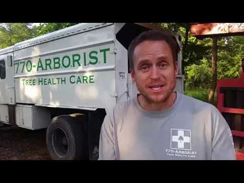 YouTube video about: When is the best time to trim trees in texas?
