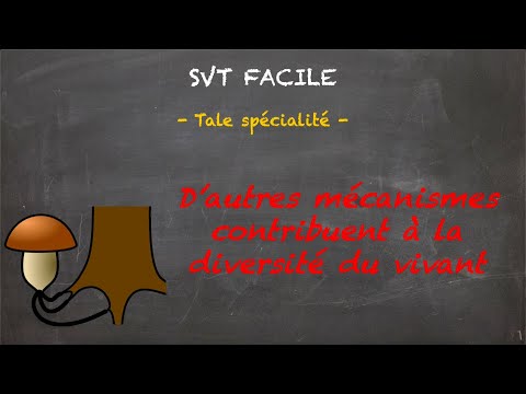 SVT FACILE - Tale spé. - D'autres mécanismes contribuent à la diversité du vivant