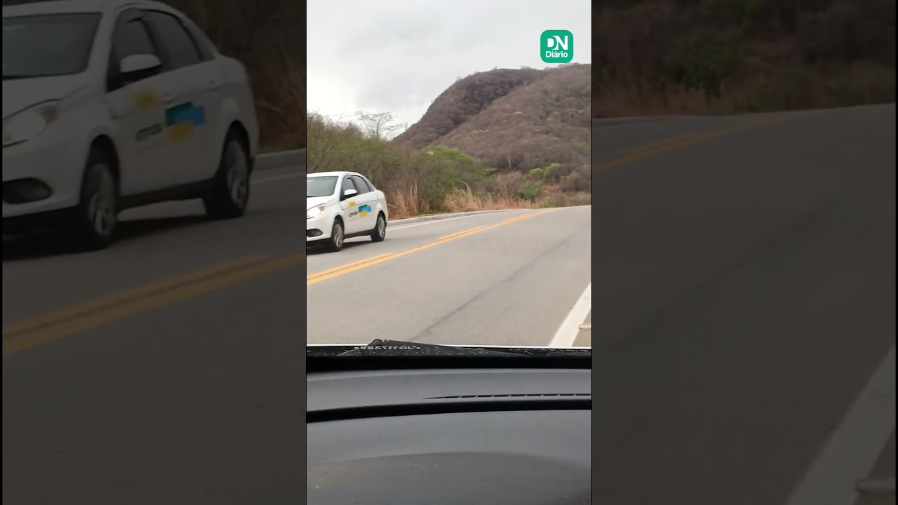 Imagem da notícia: Macacos são flagrados atravessando rodovia em área de queimada no Ceará