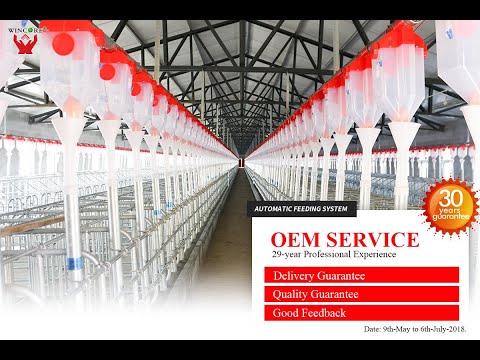 YONGGAO Farming Automatic Feeding System for Swine Farms, Pig Farms