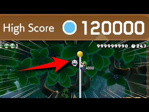 I cleared 120,000 levels in Endless Expert - Endless Expert Challenge 426 [Super Mario Maker 2]