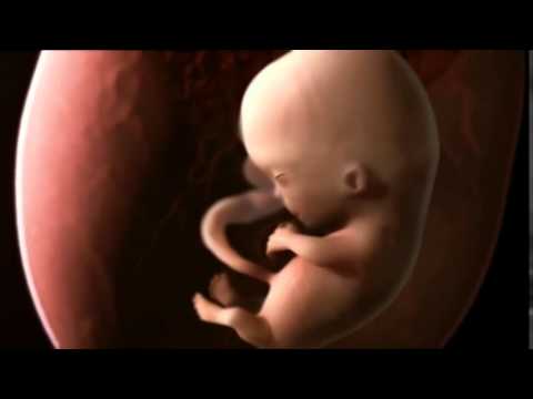 Ein Wunder, Leben beginnt...