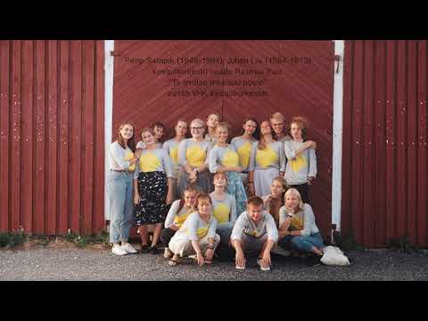 VHK keelpilliorkester - "Ta lendab mesipuu poole"