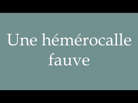 How to Pronounce ''Une hémérocalle fauve'' (A tawny daylily) Correctly in French