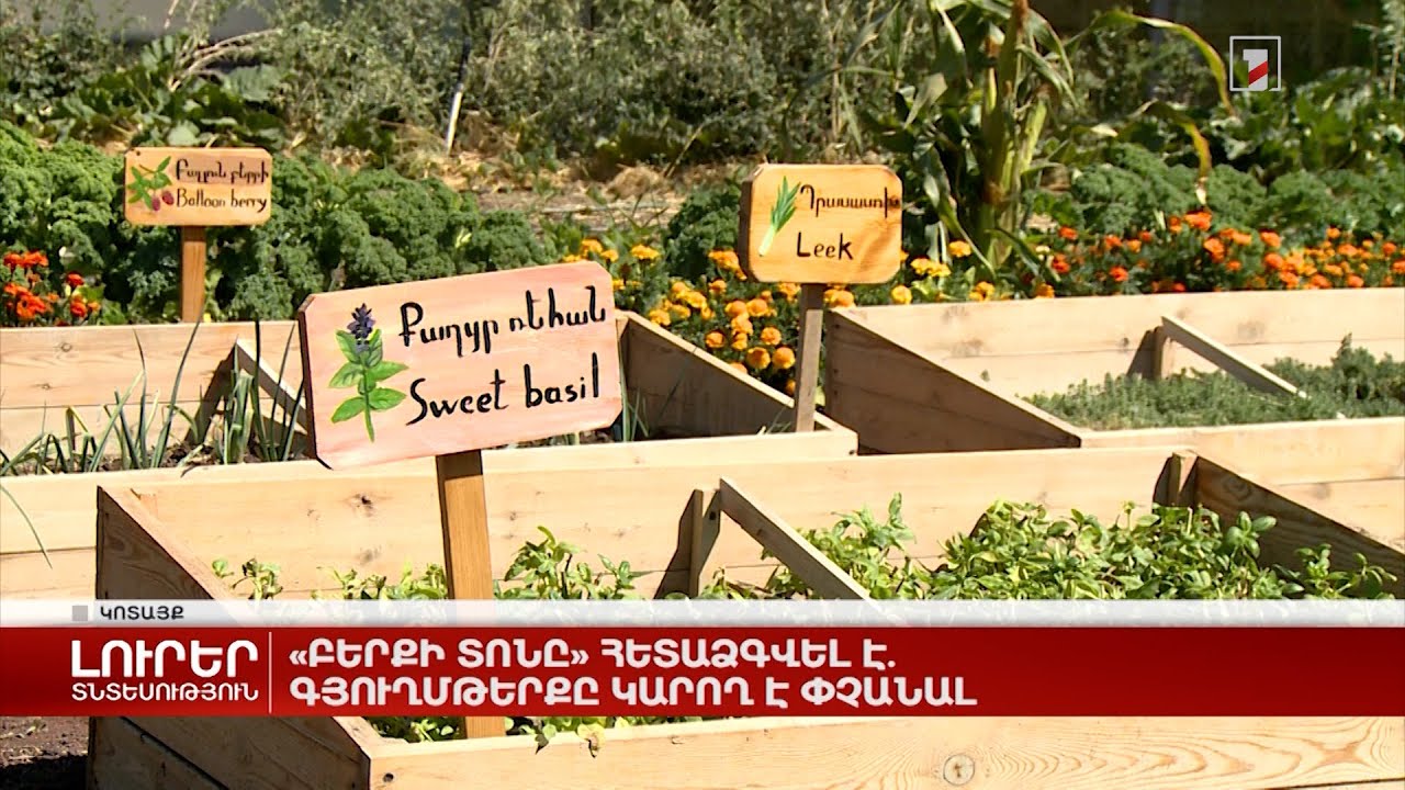 Բերքի տոնը հետաձգվել է. գյուղմթերքը կարող է փչանալ