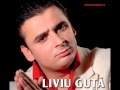 Liviu Guta - Am o poza de-a ta 