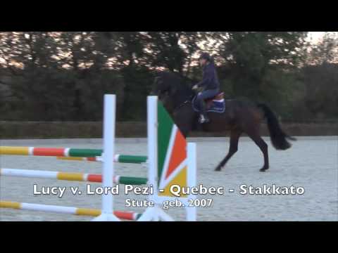 Lucy v. Lord Pezi - Quebec - Stakkato geb. 2007